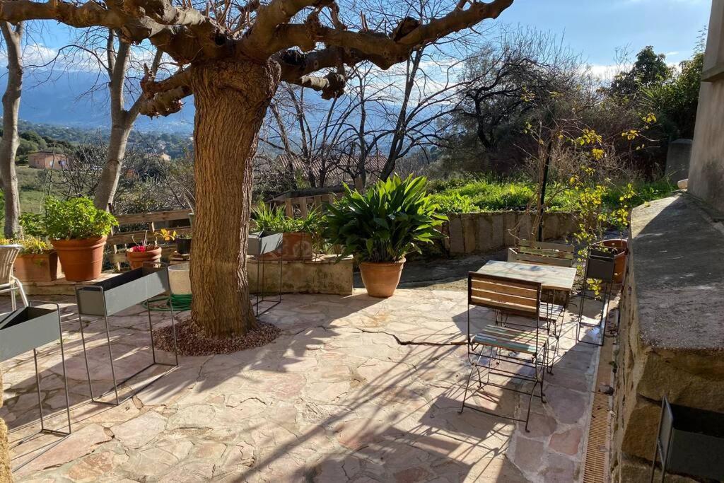 Maison typique corse à 10 min d'Ajaccio et plages Alata Exterior foto