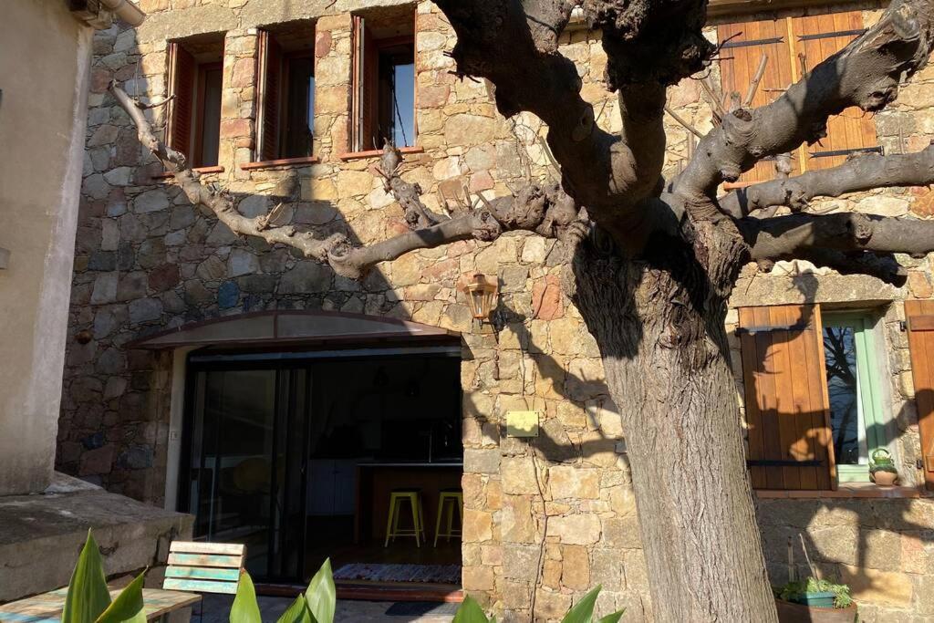 Maison typique corse à 10 min d'Ajaccio et plages Alata Exterior foto